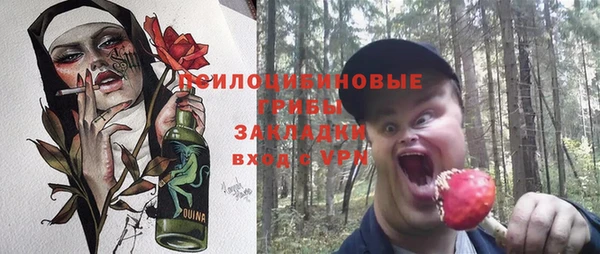 a pvp Алзамай