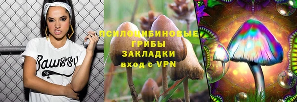 a pvp Алзамай