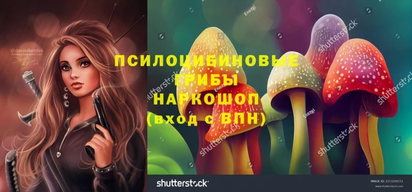 соль ск Алексин