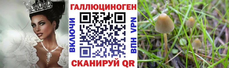 Псилоцибиновые грибы ЛСД  Ахтырский 